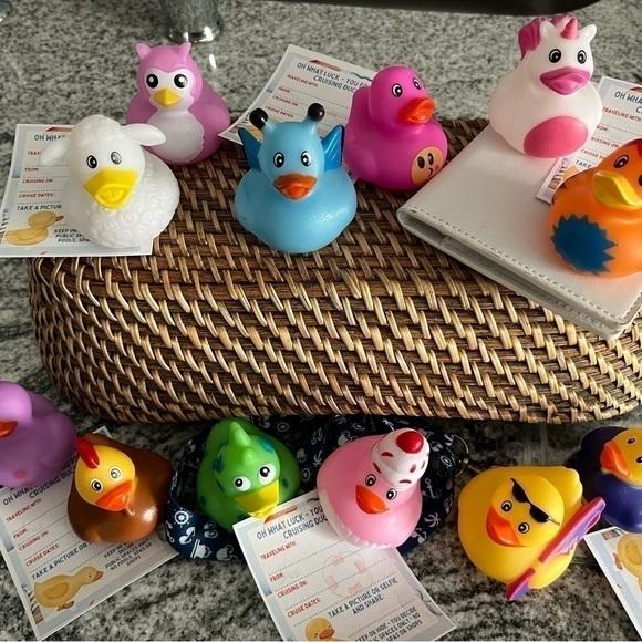 Cruising Ducks! Set of 12 Ducks - perfect for Cruising Duck Game - Picture 1 of 5